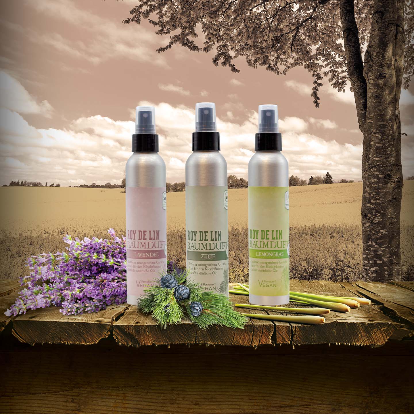 ROY DE LIN Raumduft Set 3 x 160 ml – Bild 5